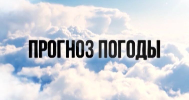 ПРОГНОЗ ПОГОДЫ (12.05)