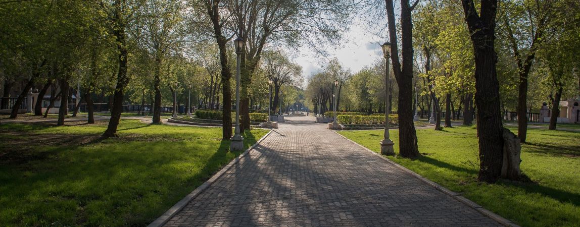 «Зеленые» планы города. От горожан ждут предложений