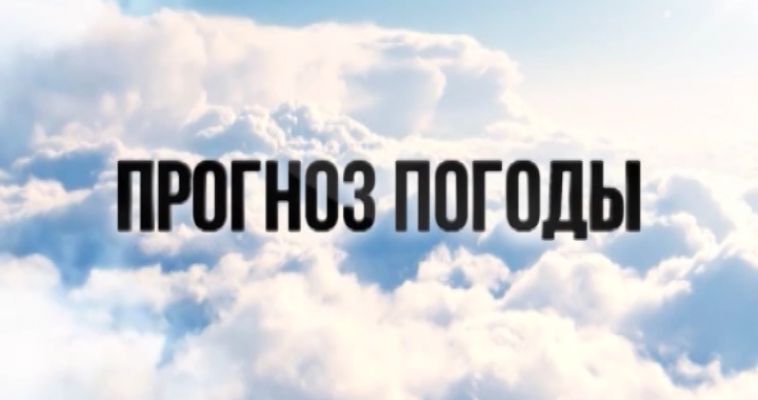 ПРОГНОЗ ПОГОДЫ (11.06)