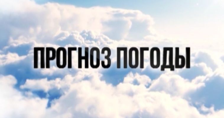 ПРОГНОЗ ПОГОДЫ (19.06)