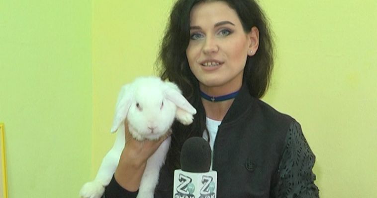 КРОЛИК-БАРАН (24.07)