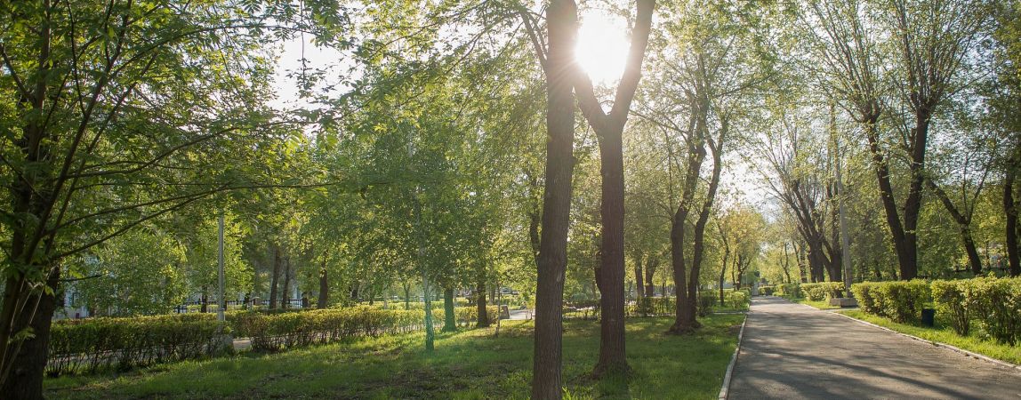 Магнитогорск в тройке лидеров конкурса «Самых благоустроенных городских и сельских поселений Челябинской области»