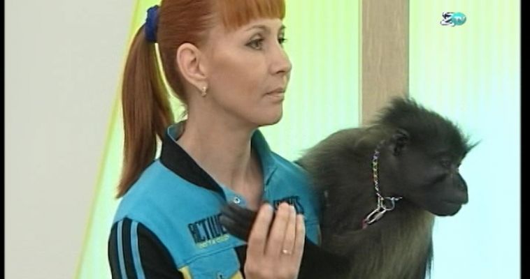 ФОТО С ОБЕЗЬЯНКОЙ (26.07)