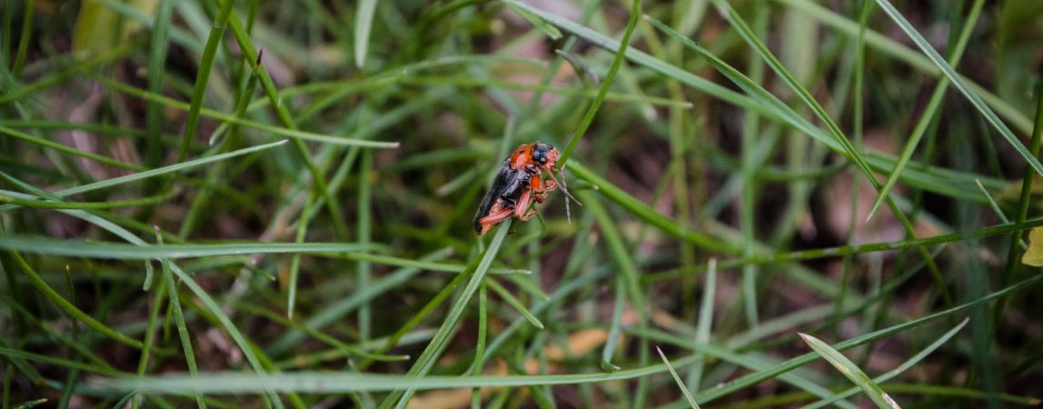 Погода на четверг