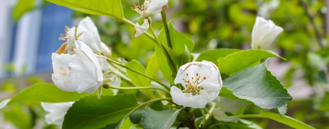 Прогноз погоды на выходные