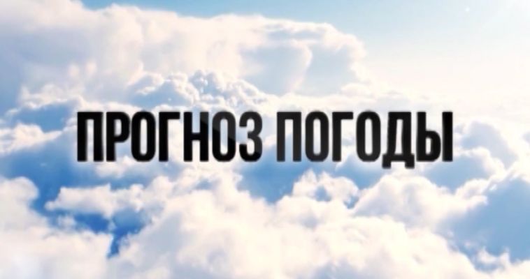 ПРОГНОЗ ПОГОДЫ (29.07)