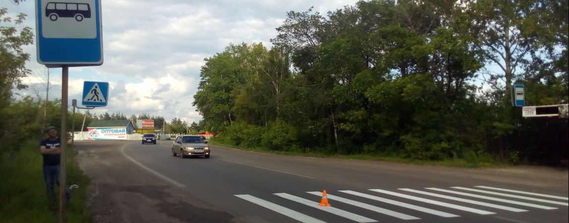 Госавтоинспекция разыскивает очевидцев ДТП с пешеходом