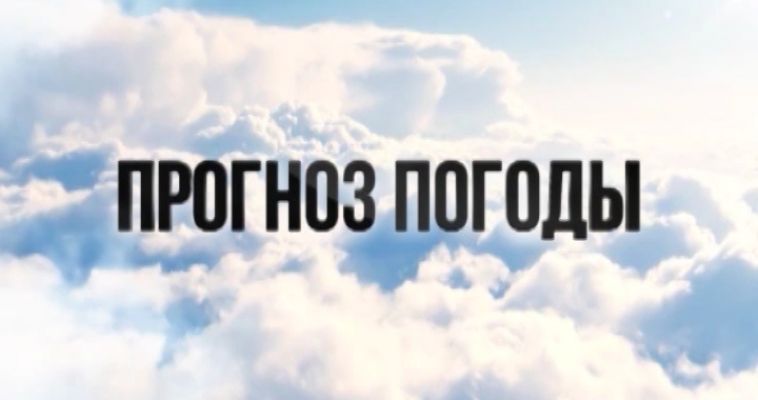 ПРОГНОЗ ПОГОДЫ (07.08)