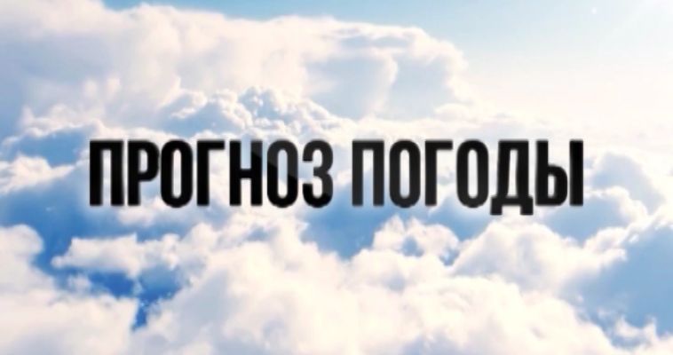 ПРОГНОЗ ПОГОДЫ (13.08)