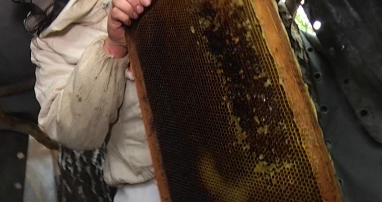 СЛАДКИЙ ПРАЗДНИК