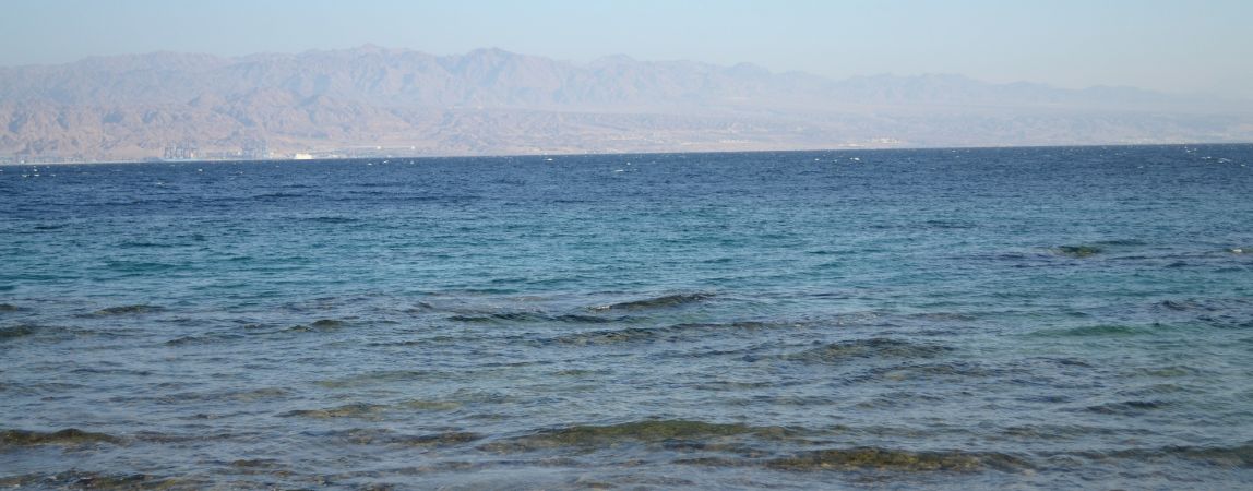 В Краснодарском крае автобус упал в море