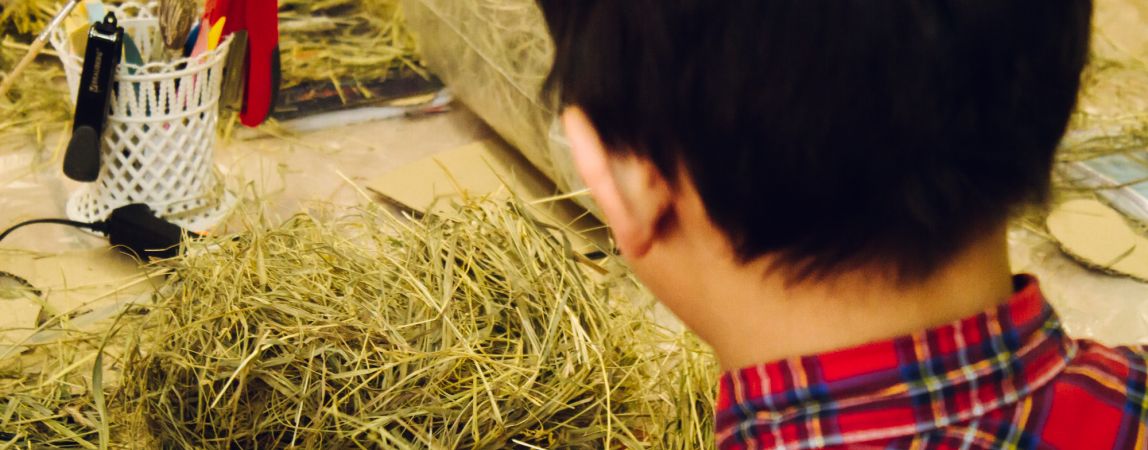 Экоцентр приглашает детей в бесплатные кружки
