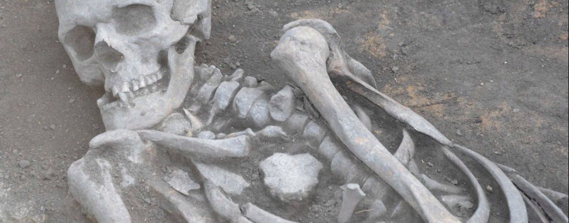 Возле Аркаима раскопали скелет древнего уральца