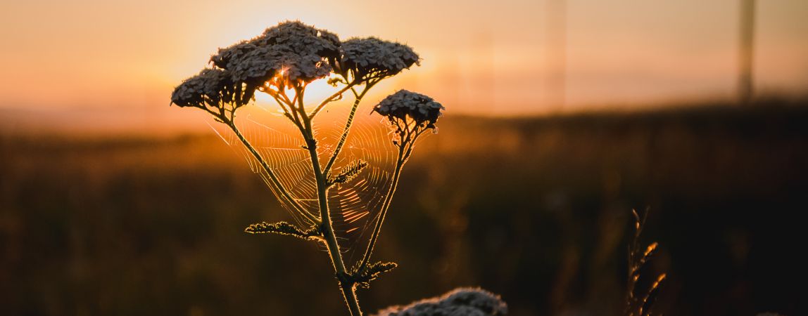 Прогноз погоды на завтра