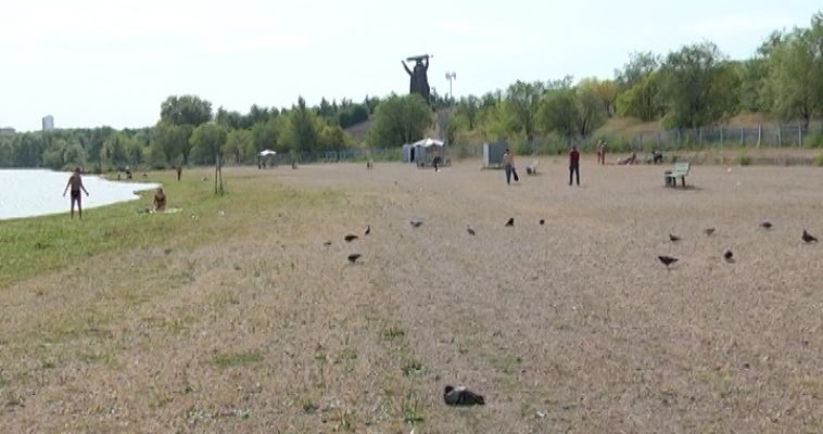 ГОРОДОВОЙ (31.08)