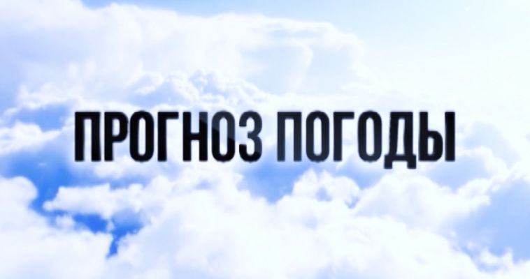ПРОГНОЗ ПОГОДЫ (12.09)