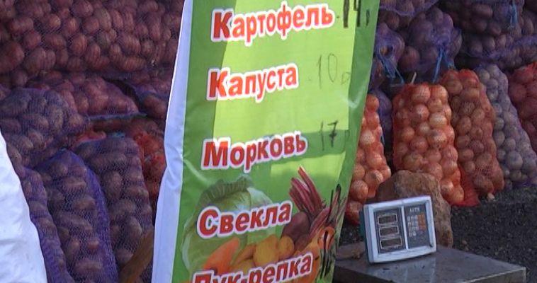 УРОЖАЙ В МАССЫ