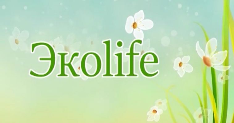 ЭКОЛАЙФ (12.09)