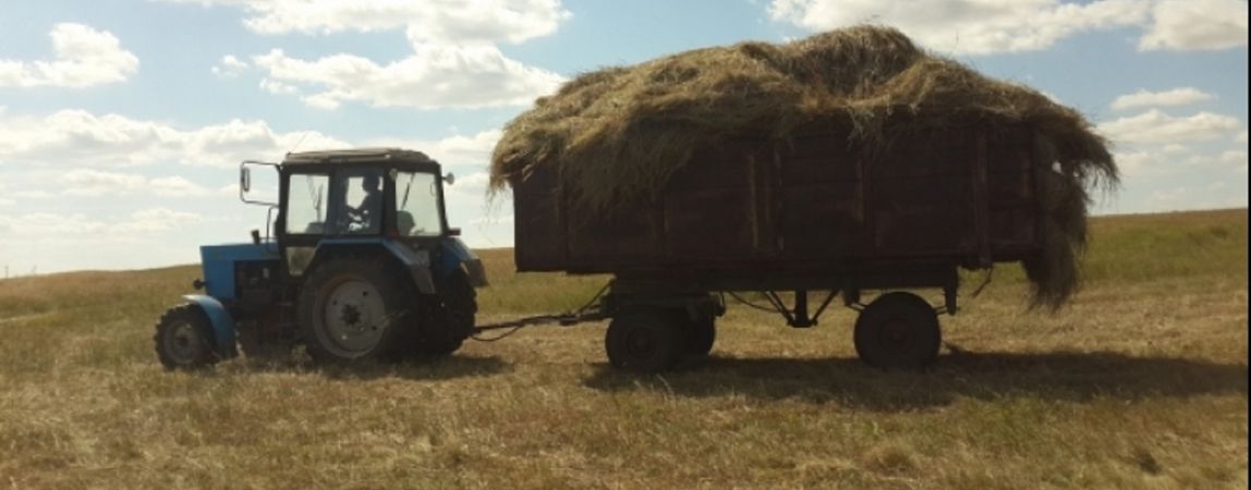 Сельское хозяйство на подъеме, а продукты всё хуже и хуже?