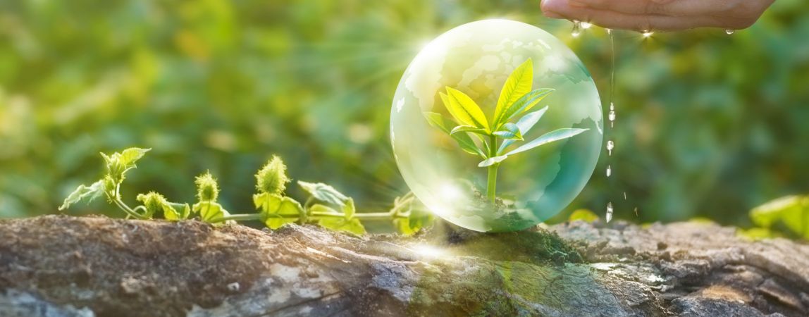 Почему магнитогорцы отказываются от бумажных квитанций?