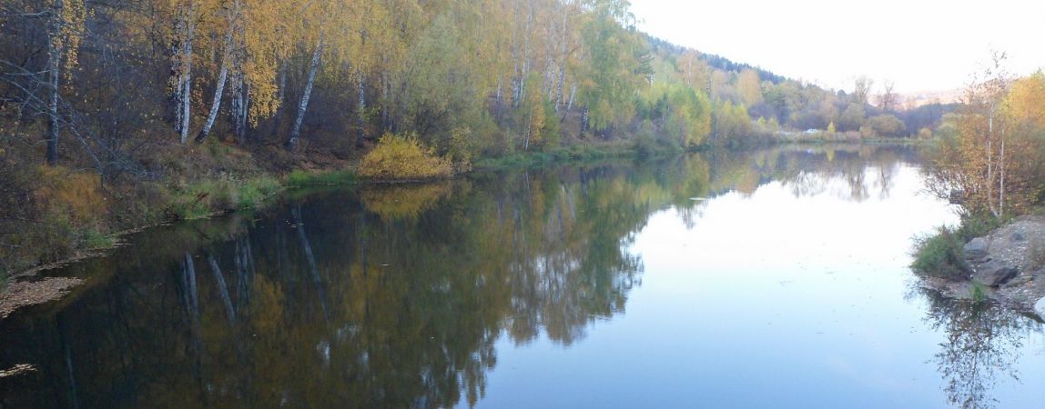 ОНФ выявил экологических нарушений на 132 млрд рублей