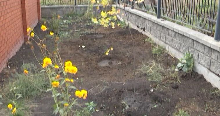 «1000 ДЕРЕВЬЕВ - ДЕТЯМ»