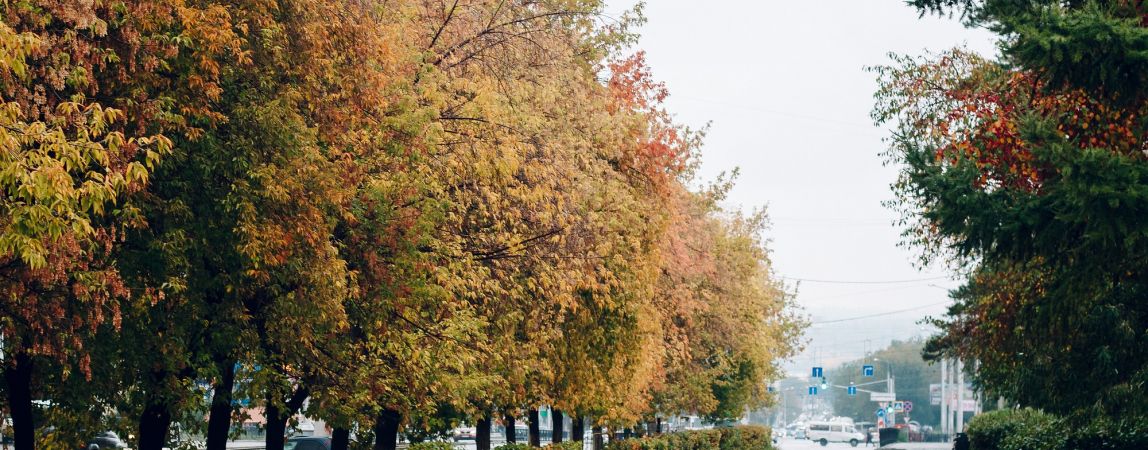 Прохладно и солнечно