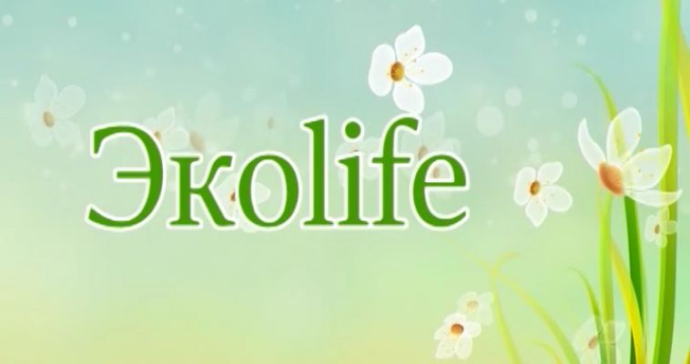 ЭКОLIFE: БАТАРЕЙКИ — КУДА СДАТЬ? (09.10)