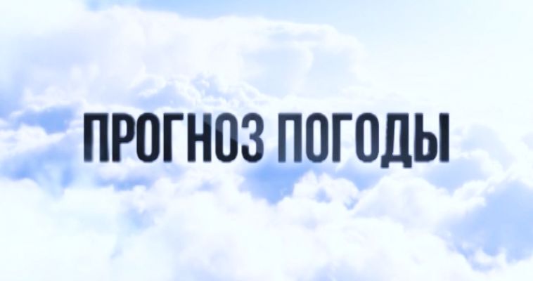 ПРОГНОЗ ПОГОДЫ (14.10)