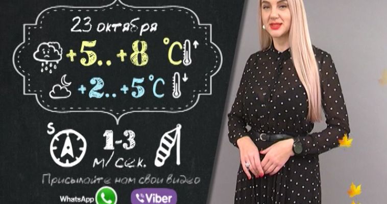 Прогноз погоды (23.10)
