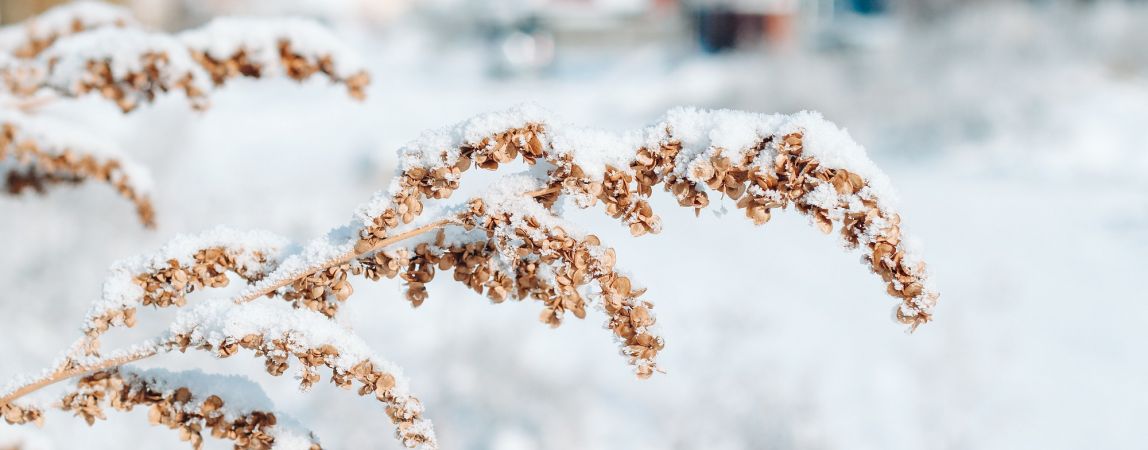 Прогноз погоды на пятницу