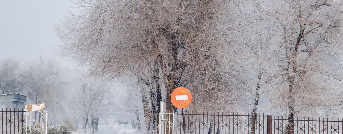 При какой температуре не нужно идти в школу