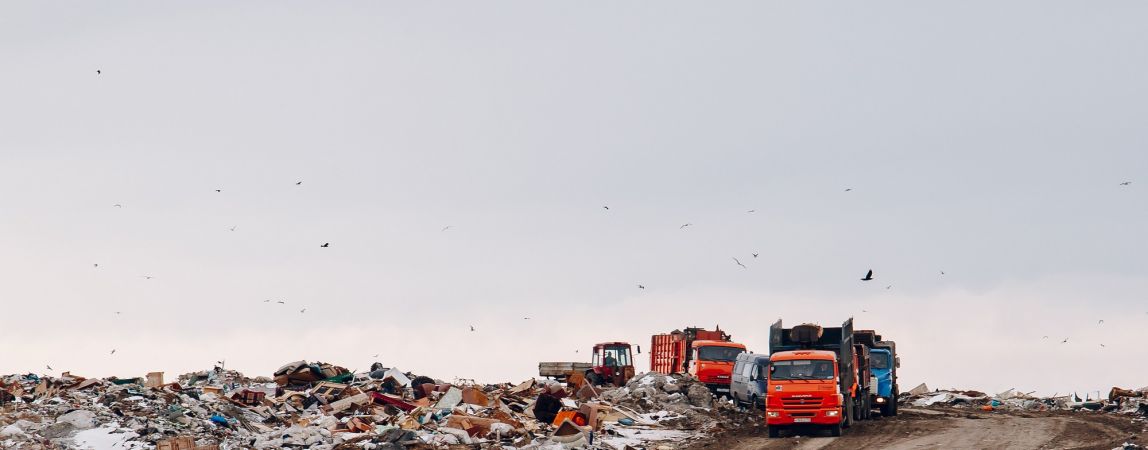 Госдума утвердила закон о раздельном сборе мусора