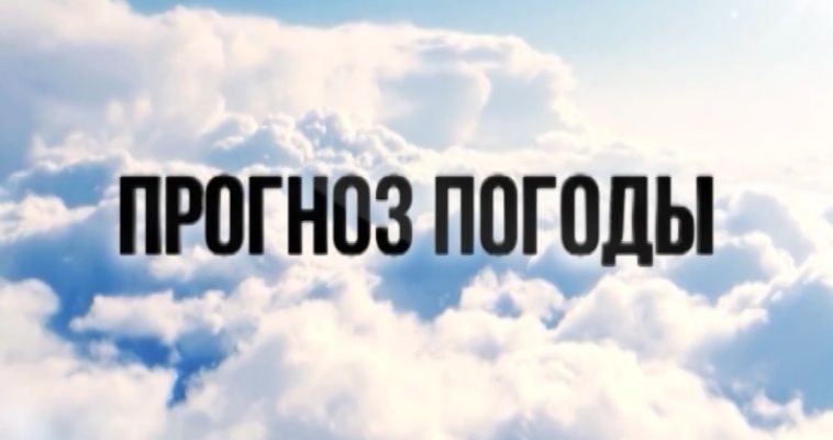 ПРОГНОЗ ПОГОДЫ (31.01)