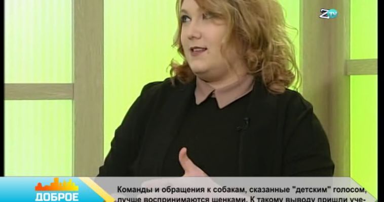 «Смена цвета волос — решение спонтанное»