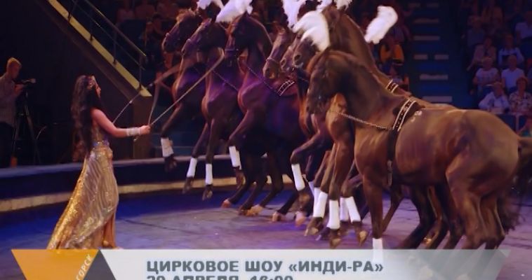 УНИКАЛЬНОЕ ШОУ В МАГНИТОГОРСКЕ