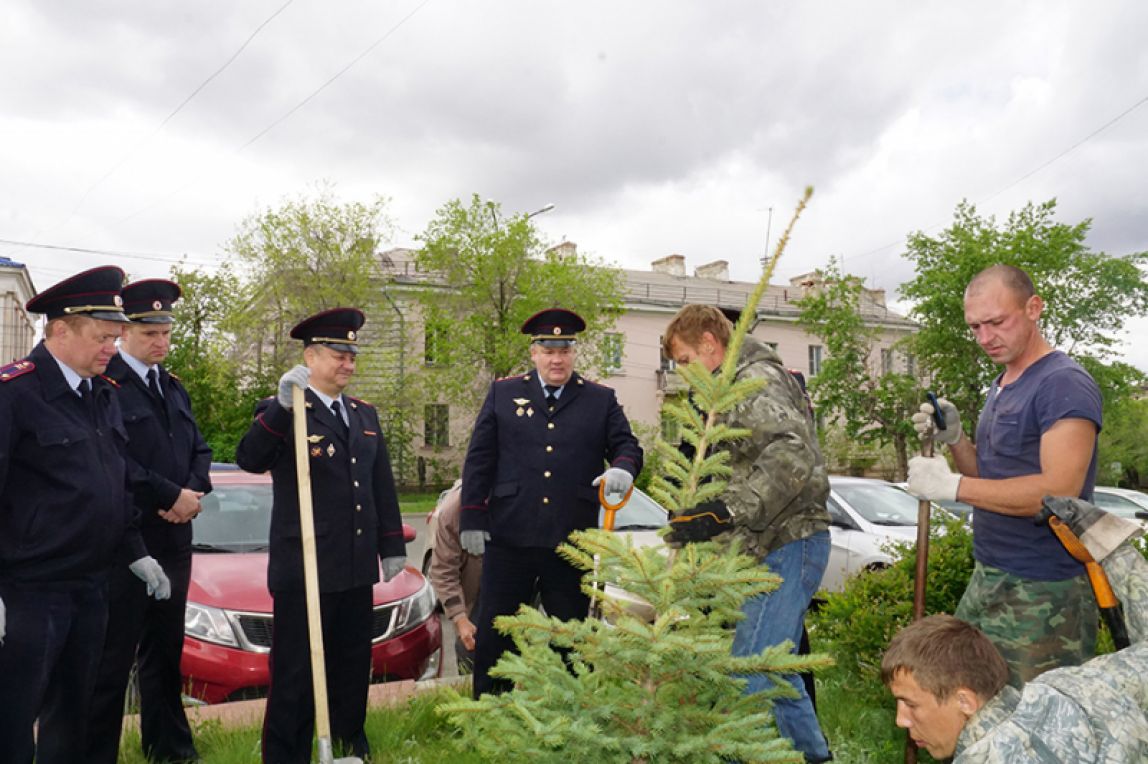 Полицейские добавили зелени в Магнитогорск