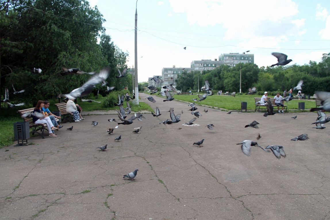 Штормовое предупреждение продлено