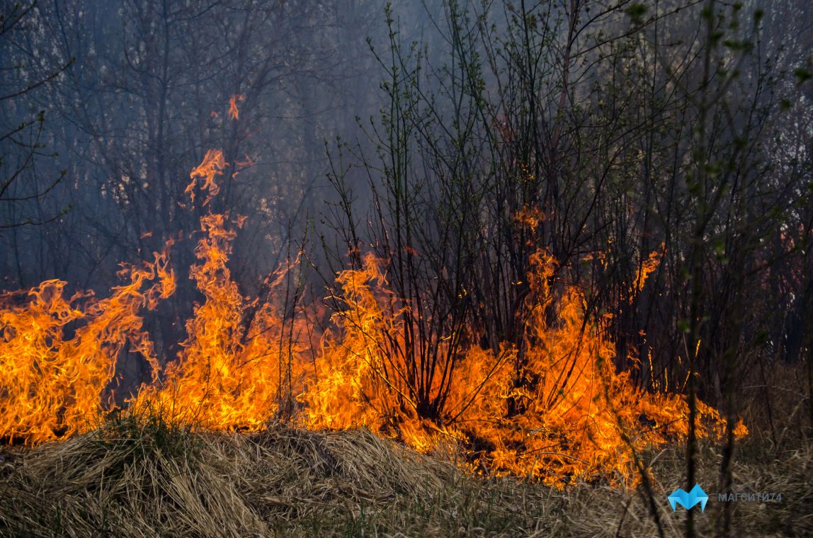 Магнитогорские огнеборцы всю ночь тушили лесной пожар