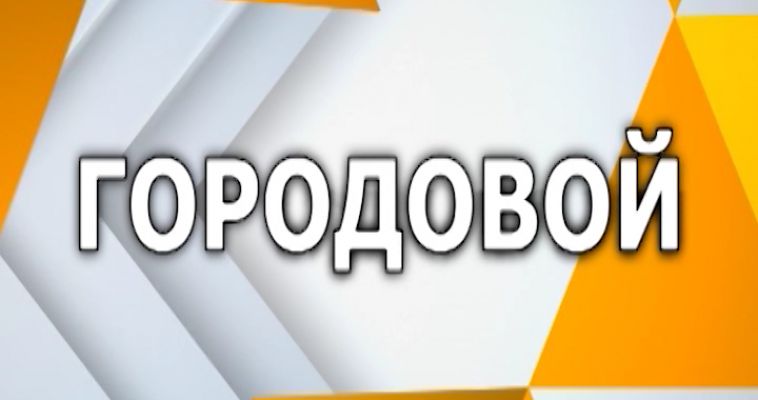 ГОРОДОВОЙ: БОЛЬШОЙ ЗАБЕГ, ОБРАЗОВАТЕЛЬНЫЙ ФЕСТИВАЛЬ И СБОР КОРМА ДЛЯ ЖИВОТНЫХ