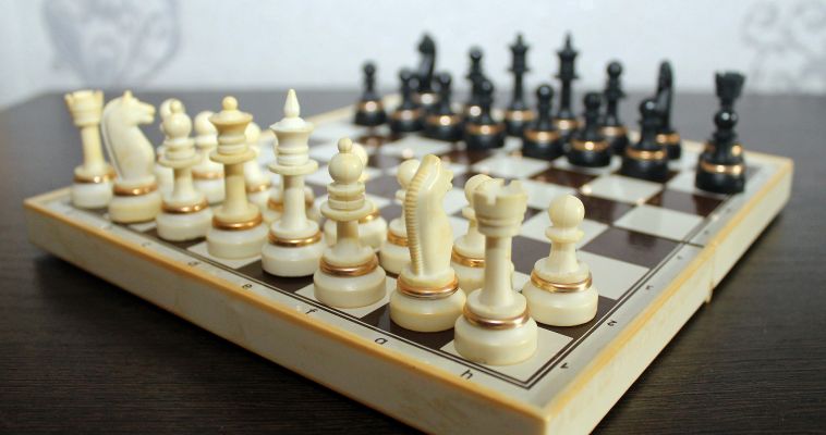 В Магнитогорске подвели промежуточные итоги «Шахматного всеобуча»