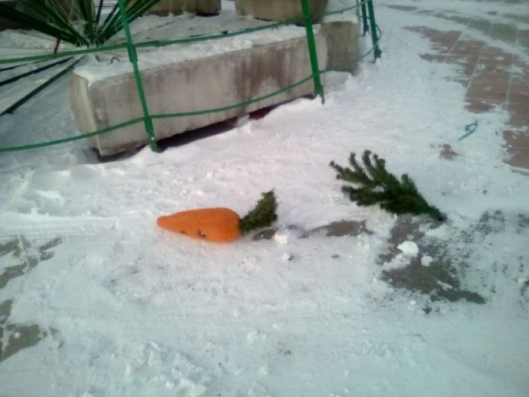 Хулиганы отобрали у скульптуры зайца морковь