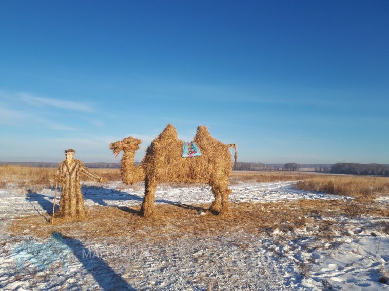 На дороге в Челябинск путников провожает соломенный верблюд