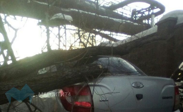 Дерево упало на припаркованный автомобиль