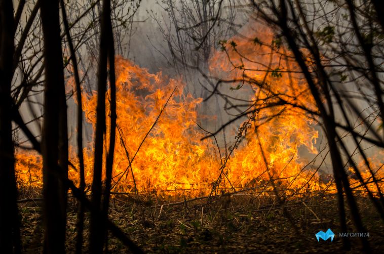Огонь уничтожил десятки гектаров травы в окрестностях Магнитогорска