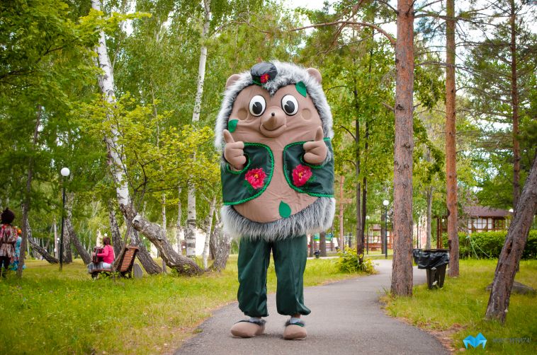 Загородные лагеря ждут первых посетителей