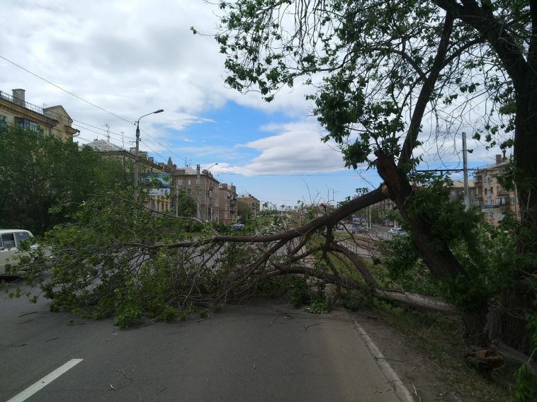 Замглавы города поручил навести порядок на улицах после шторма