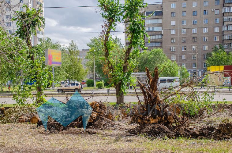 За неделю в Магнитке срубили больше сотни деревьев