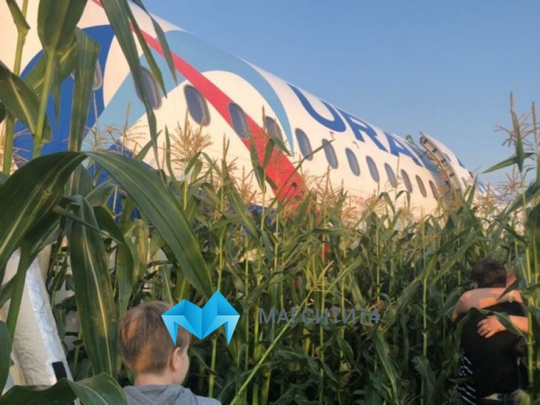 Путин присвоил звание героев России пилотам, посадившим самолет в кукурузном поле