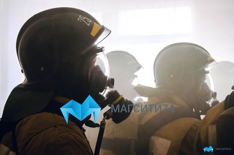 В этом году во время пожаров погибли 13 человек